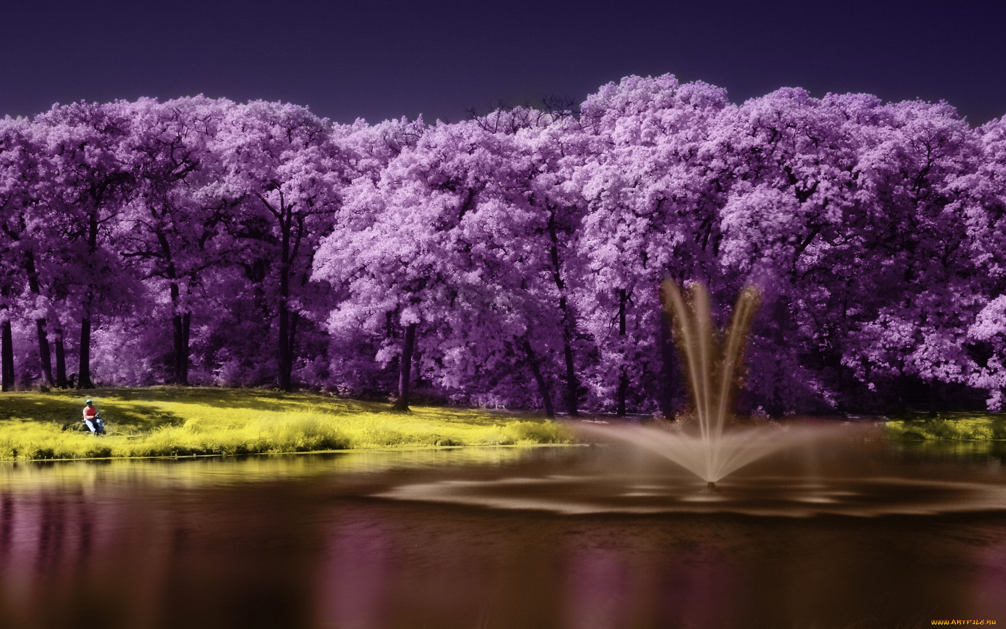 ,  , , , scenery, lake, , , purple, tree